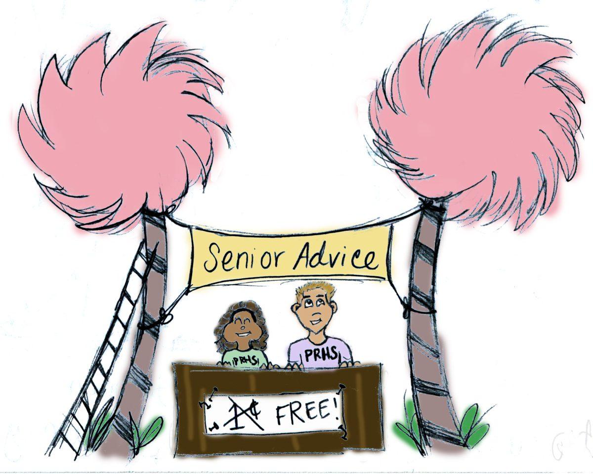 Senior Advice