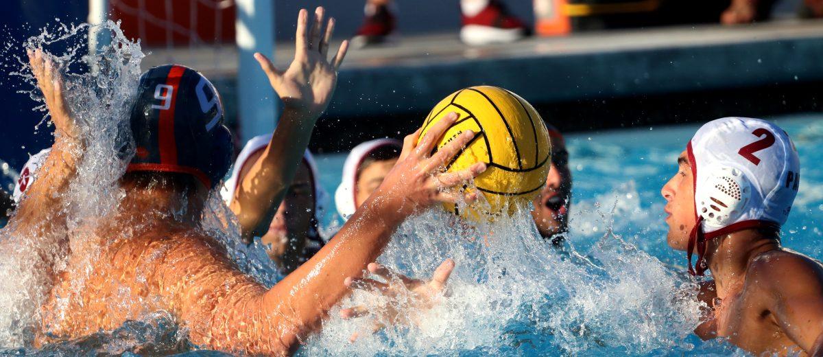 Boys water polo is defeated by the hounds