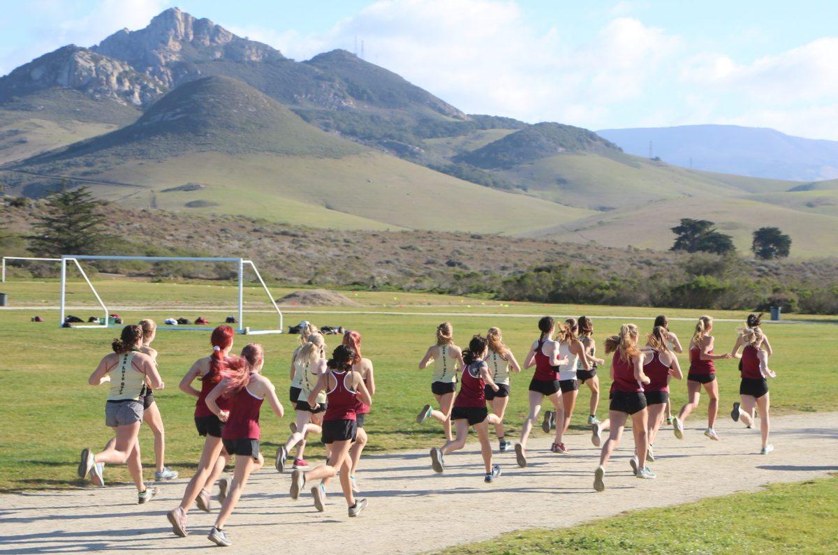Bearcat and Lion Cross Country Runners Clash in their First Meet of the Season