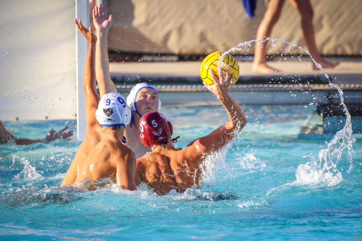Technically Speaking: Waterpolo