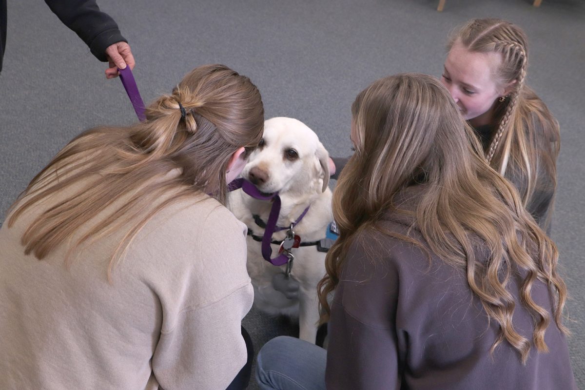 In the Wellspace: Bindi, one dog that coms to visit the high school was visiting with students in the well space. 
