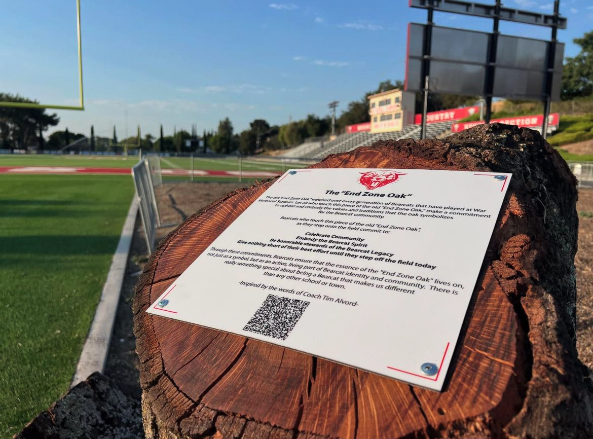 The new plaque in the former place of the End Zone Oak.