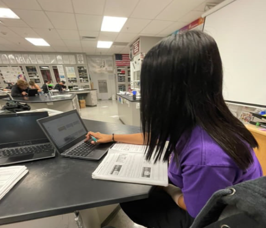 Edith Policarpo Gonzalez working on her assignments during Mr. Johnston's class. 